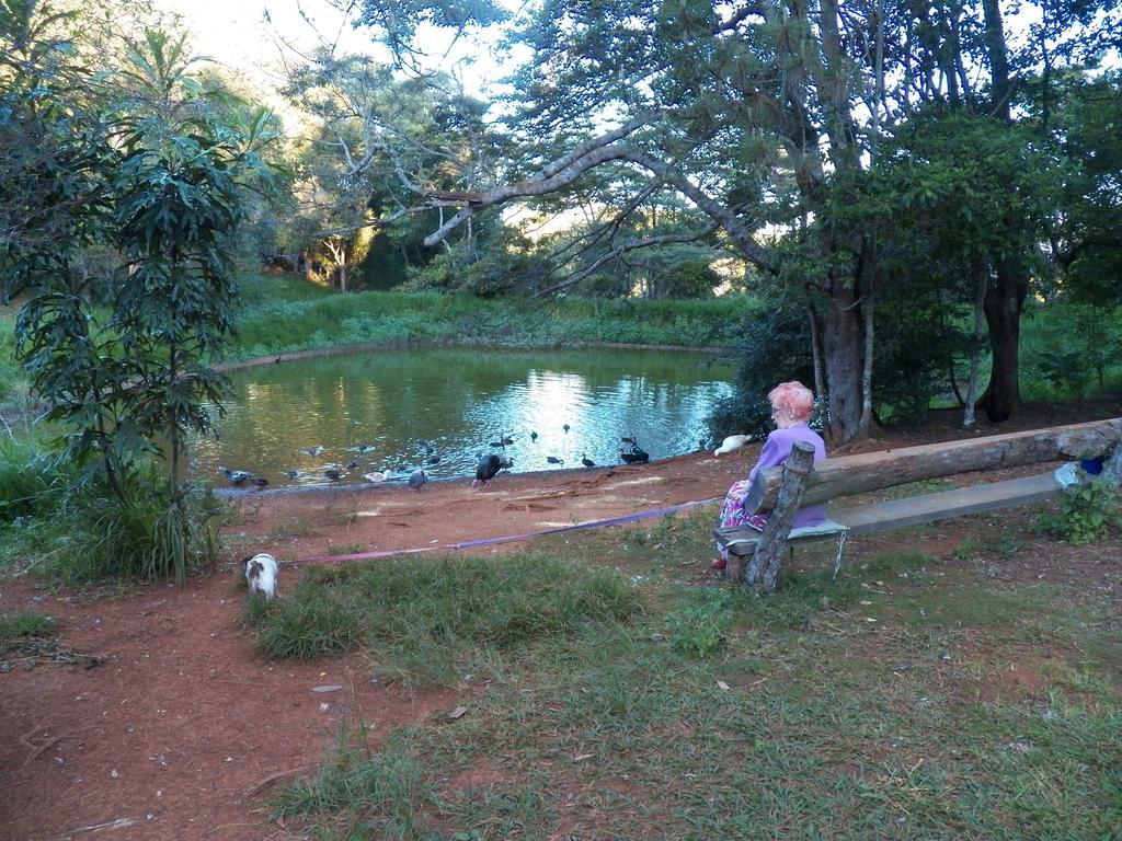 Lake Eacham Tourist Park & Cabins Kültér fotó