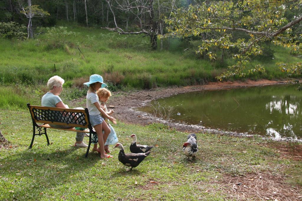 Lake Eacham Tourist Park & Cabins Kültér fotó