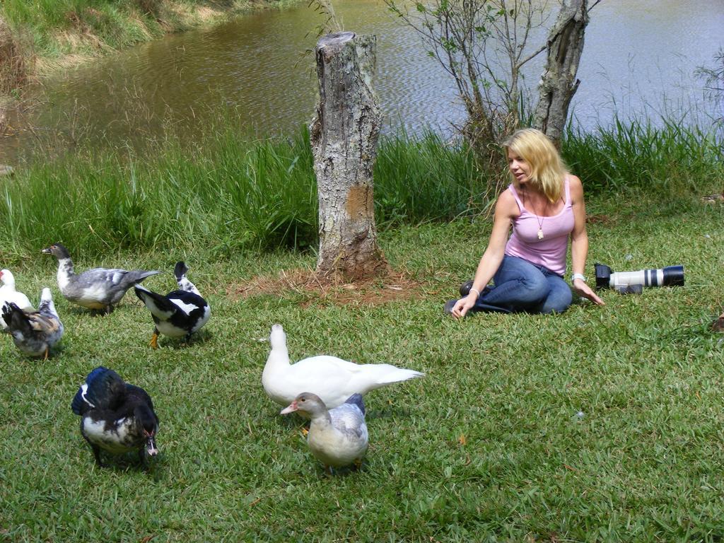 Lake Eacham Tourist Park & Cabins Kültér fotó