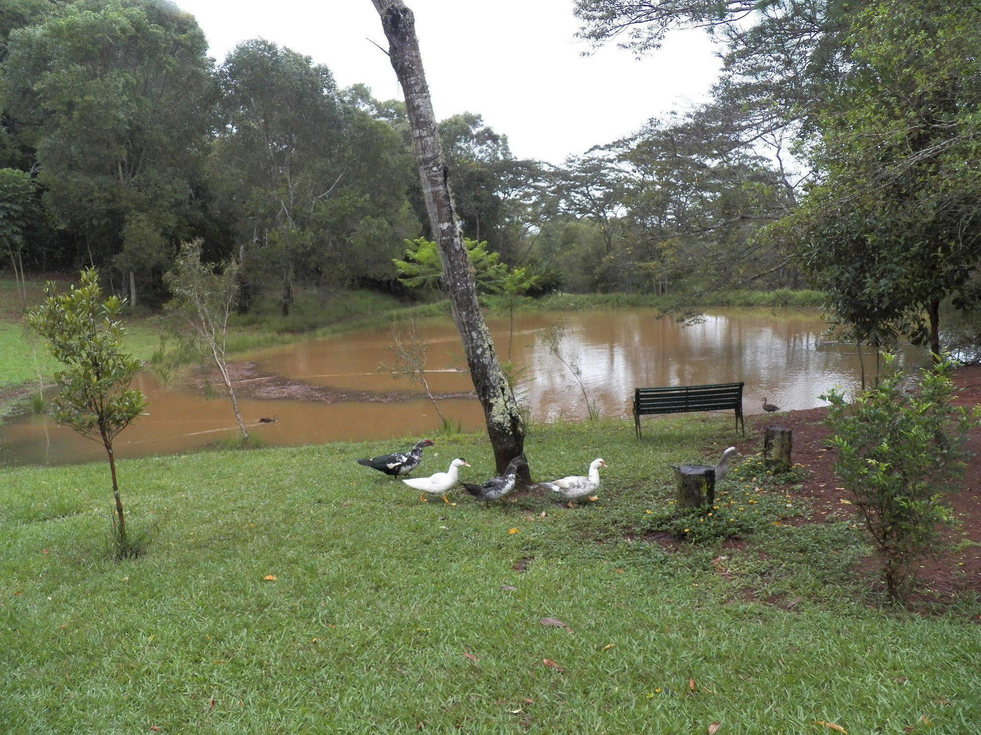 Lake Eacham Tourist Park & Cabins Kültér fotó